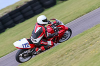 PJ-Motorsport-2019;anglesey-no-limits-trackday;anglesey-photographs;anglesey-trackday-photographs;enduro-digital-images;event-digital-images;eventdigitalimages;no-limits-trackdays;peter-wileman-photography;racing-digital-images;trac-mon;trackday-digital-images;trackday-photos;ty-croes